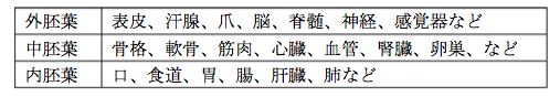 解説画像